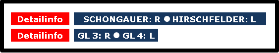 Das Bild 16 enthält den Text (obere) Deitailinfo = „SCHONGAUER: R“ (großer Punkt) „HIRSCHFELDER: L“ (untere) Detailinfo = „GL 3: R“ (großer Punkt) „GL 4: LINKS“