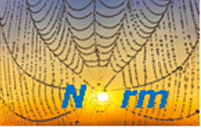 Bildbeschreibung: Auf dem Bild ist ein Spinnennetz zu sehen, dass von der Sonne angeschienen ist. Das Wort NORM steht vor dem Spinnennetz. Ende der Bildbeschreibung.
