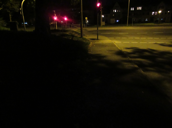 Das Bild 3 zeigt eine eingeschränkte Straßenbeleuchtung durch einen stark belaubten Baum. 